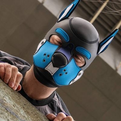 @PupStripes
