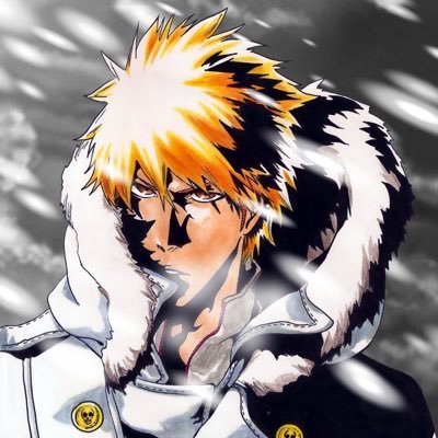 arkanel1998's profile picture. 27 just here to have fun. Ichigo Kurasaki is number 1. my goddess my everything Noelle Silva.