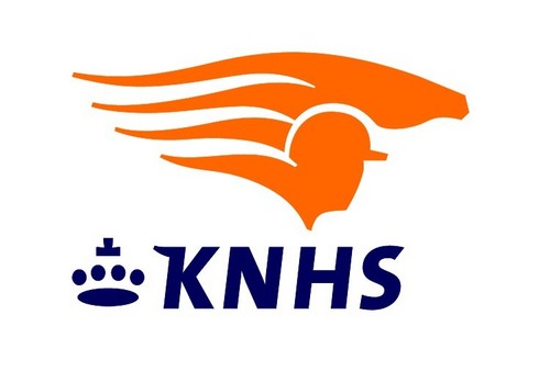 Regioconsulent KNHS