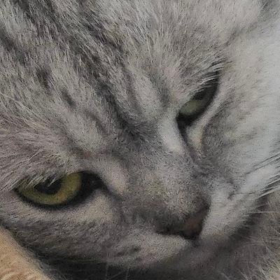 CuzofTeetee's profile picture. Support @Tee_Jaruji แค่อยากบอกให้รู้ตรงนี้ยังมีอีกหนึ่งกำลังใจของเธอ #TEeThanapon | JJหัวใจพี่เต้ 😍 |