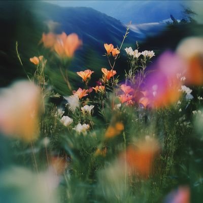 appl_unique's profile picture. Specializing in visual design and software ergonomics
#Android #Windows #iOS #SoftwareDeveloper #FLStudio
Also in music composition, production, sheet notation