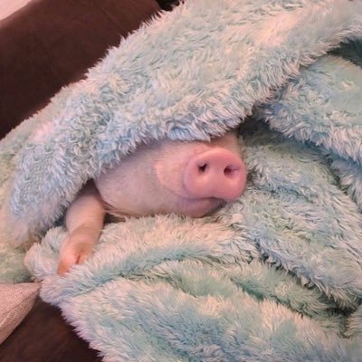 Daayy__x's profile picture. @ivanniaa_a💗/@mely_pollito💕