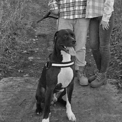 phatdaddi_daddi's profile picture. Who TF is tj Trent