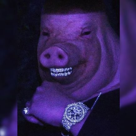 Juandihilismo's profile picture. para todos los cumbiamberos