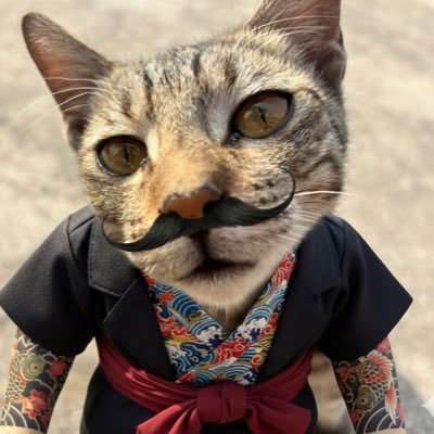 firozkhxn_'s profile picture. 