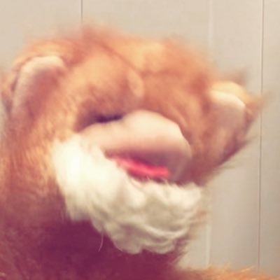 mayororangutan's profile picture. Go to sleep. 💤 I’m going private soon so I can stop replying to things, it's bad for me. 😞🤹‍♂️