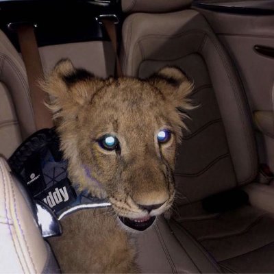 sqn's profile picture. 