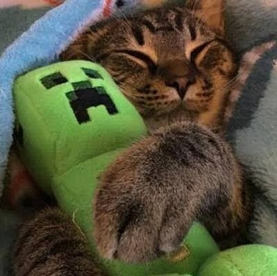 __d9r's profile picture. 