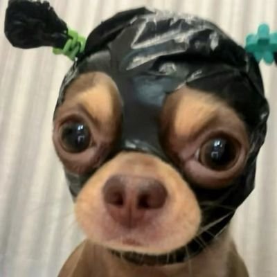 xxx000_1018's profile picture. 성인 여성 / FF14 (휴식기)