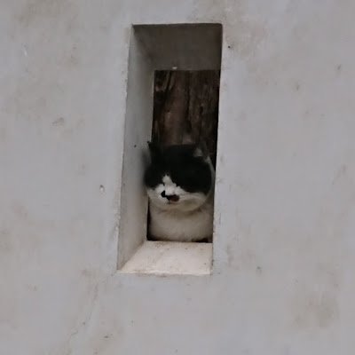 nijVCvM2s739010's profile picture. 