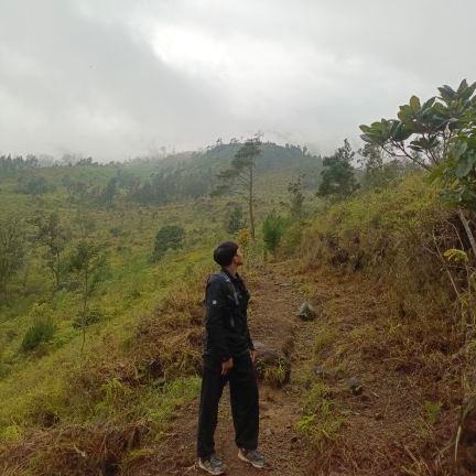 ndrawaan's profile picture. 