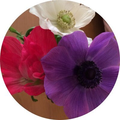 Maixdesign's profile picture. #シーメイト /2025年8月入会/2025年12月〜 #プロデ /提唱者INFJ/2児ママ👦👩/読書/映画/MARVEL/旅行/jewelry/トレP🐨