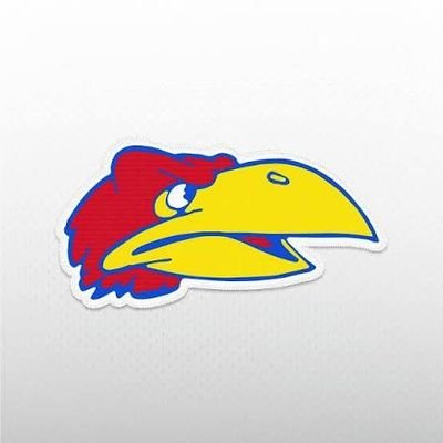 RKnobsauce's profile picture. University of Kansas Alumni - Dog Dad - Cat Dad - Kid Dad - not listed in order of preference