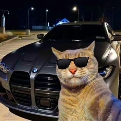 shagunmaurya17's profile picture. 