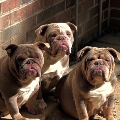 smokeboutdat's profile picture. 