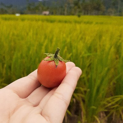 fadt1h's profile picture. 