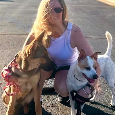 Shaykay1717's profile picture. America First Patriot • Dogs Rule