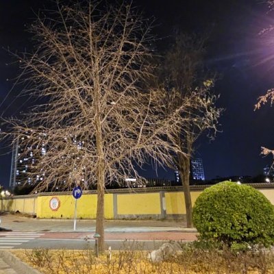 lioeling5's profile picture. 