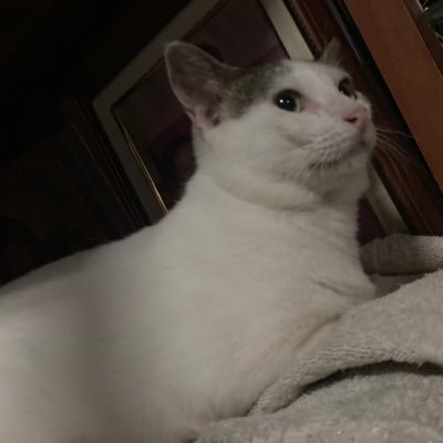 gtfomcfly's profile picture. do you wanna go do karate in the garage?