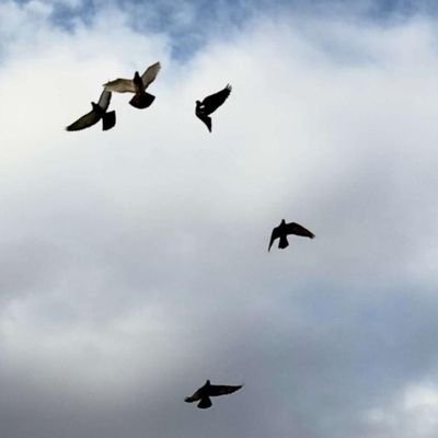 ss7655512377488's profile picture. 