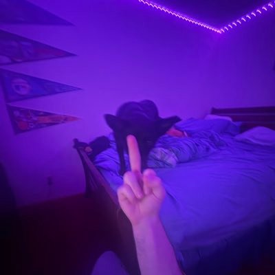 KonpuOnTwitch's profile picture. 22 | Content Creator with a dream