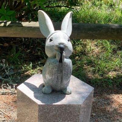 snl222's profile picture. 臨床検査技師/ 小田和正の大ファン 🪺🍥