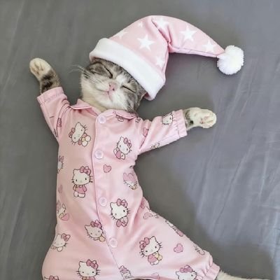 hamba_allah799's profile picture. business 👉🏻 relax 👉🏻 lepak