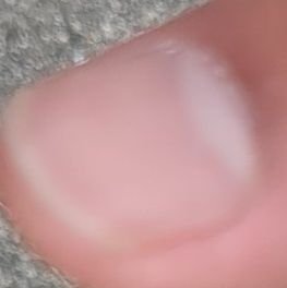 114514papapapap's profile picture. あ