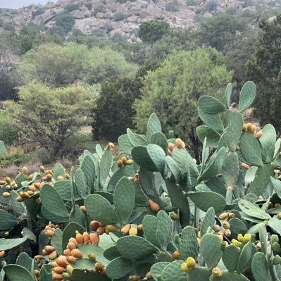 aazm1396's profile picture. المرء محاسب على ما يكتبه كما يحاسب على ما يتكلم به فليكن ماتكتبه في وسائل التواصل مسجل لك لا عليك .