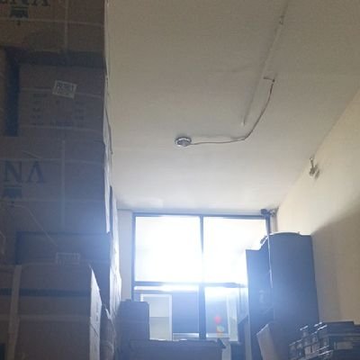 Warnerbros109's profile picture. 