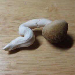 lipserrvice's profile picture. this dude is fucked up bruh