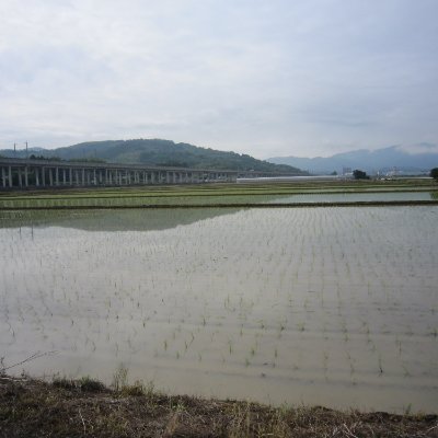 uuEtSkOIpo88018's profile picture. 