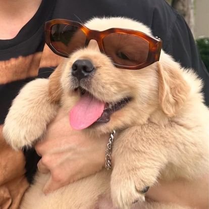 trblisme's profile picture. Everyday i fight my spot in heaven. | PONDPHUWIN.