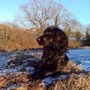 Frank Barrow - @frankclay1 - Twitter