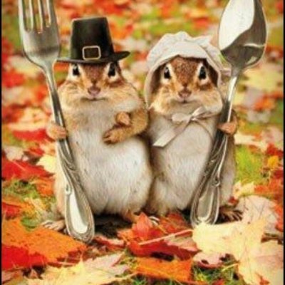 pampoodlejr's profile picture. dog mom of 2 spoiled fur babies, super fan of pearl jam! boston bruins! dem/vote blue! never again/never forget! NO LISTS/NO DM'S @pearljam