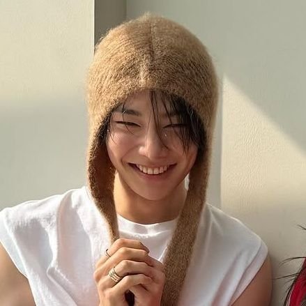 stayyuniverse's profile picture. only 스트레이 키즈 = 🏡♡ ∞