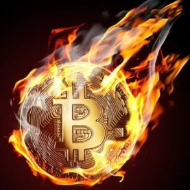 bull_market25's profile picture. 