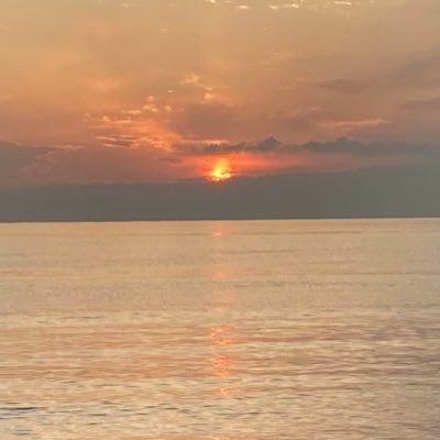 Sail_Barrel's profile picture. SCP-JPサイトスタッフ。SCPなどの批評はDMまで。Taleの方が得意です。20↑狂→@fireflyer_2