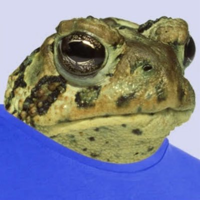 gregorynich's profile picture. 