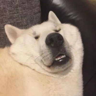 Rkivist_'s profile picture. 