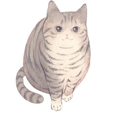 taerimart's profile picture. 