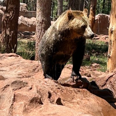 Robertorxpy's profile picture. Proverbs 16:9 NASB95
The mind of man plans his way, But the LORD directs his steps.