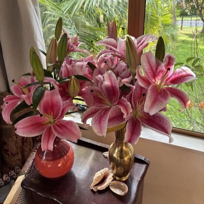 Nou9s's profile picture. 