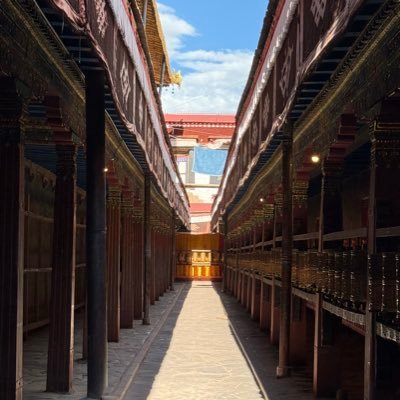 fndsfnds194223's profile picture. 专注于AI 应用方向