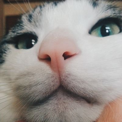 DDDDAkong's profile picture. 