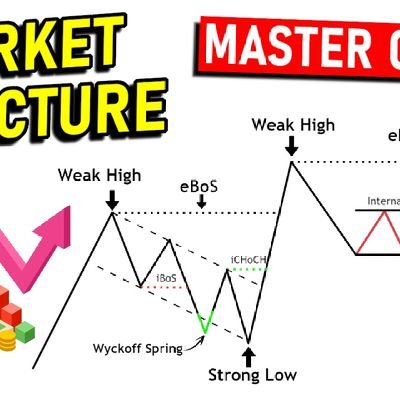 Calton697987's profile picture. 