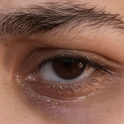 PineTreeGg's profile picture. Keep going