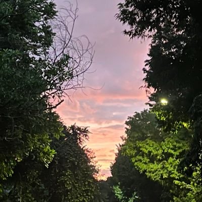 capcipcucip's profile picture. 