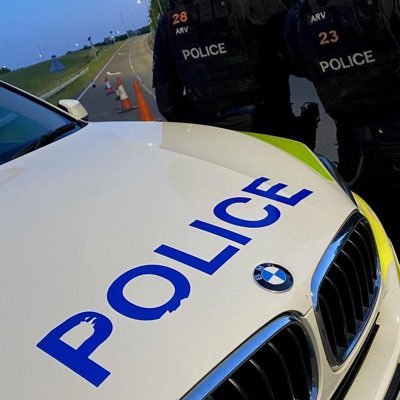 bella_rose2062's profile picture. 