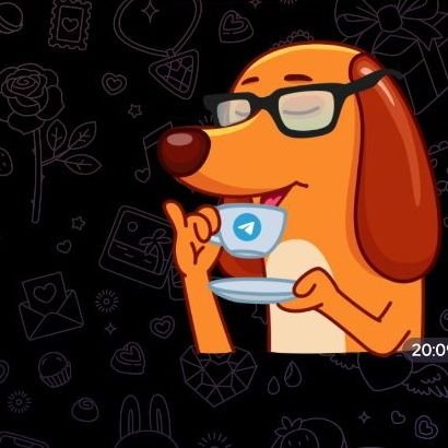 premiumversi0n's profile picture. قطوفها دانیه...